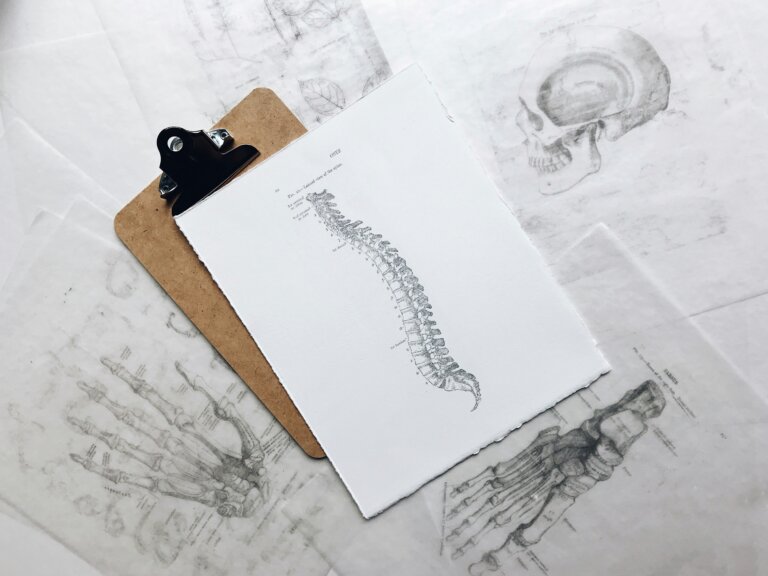 Clipboard with a chart of the human spine